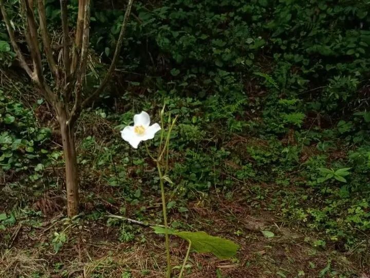 yL23411永利集团官网登录