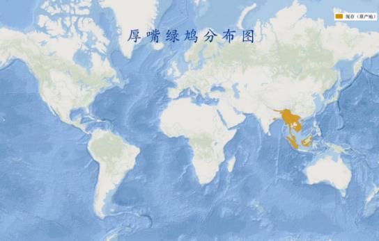 yL23411永利集团官网登录