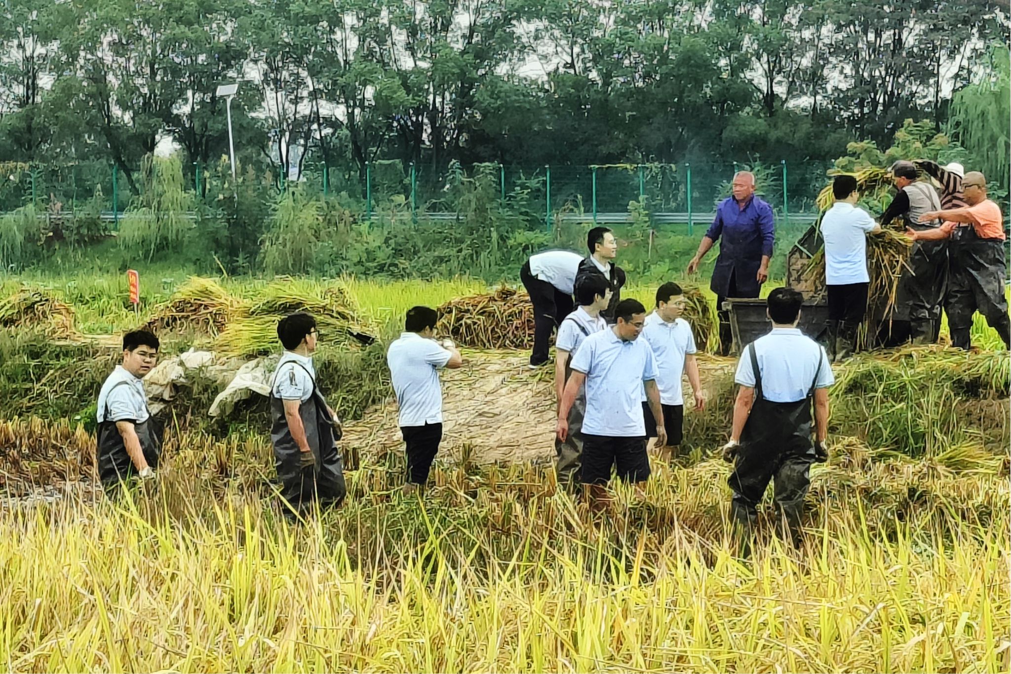 yL23411永利集团官网登录