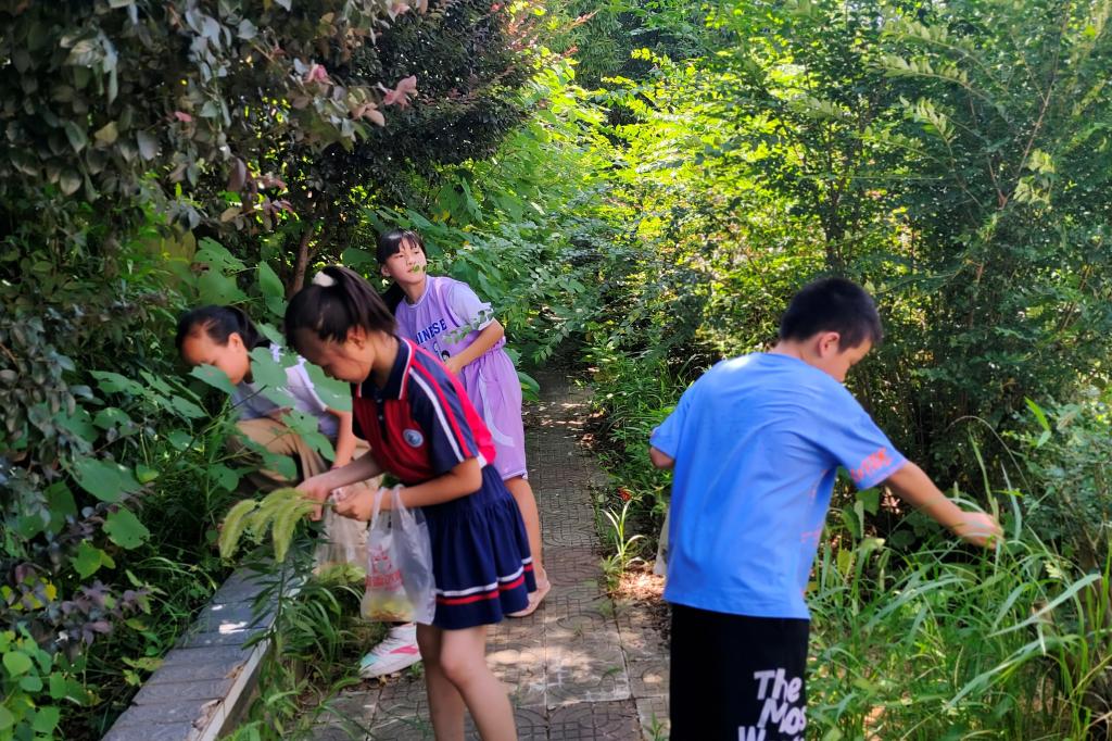 yL23411永利集团官网登录