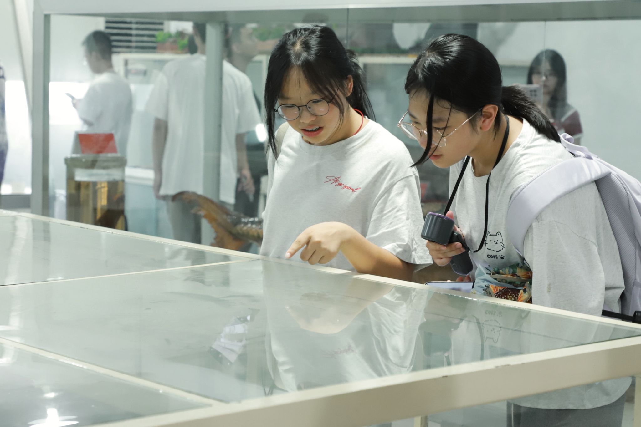 yL23411永利集团官网登录