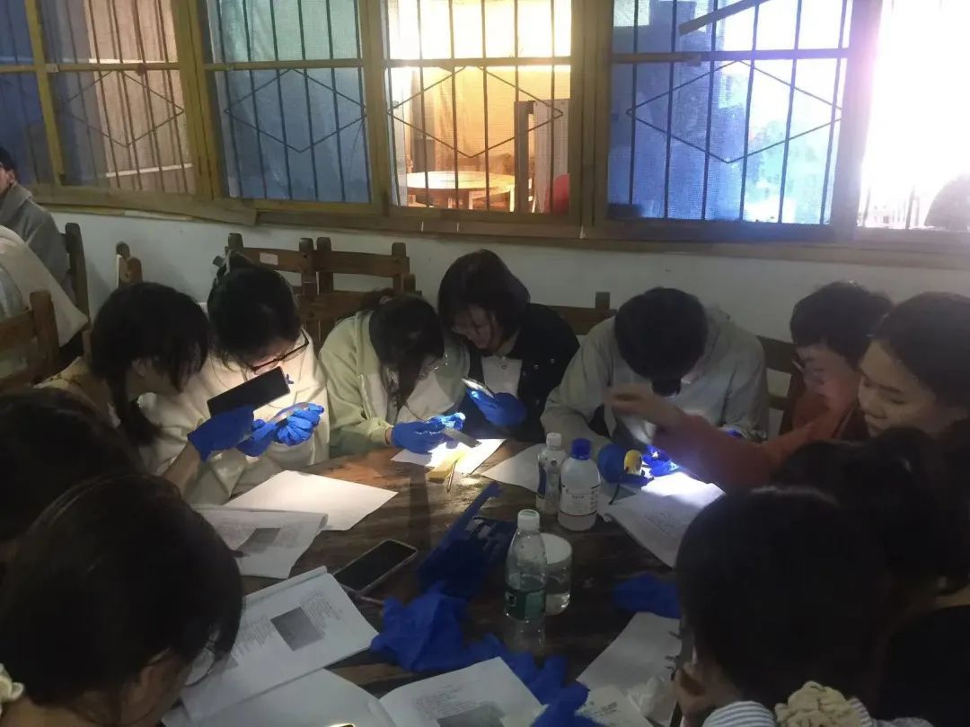 yL23411永利集团官网登录