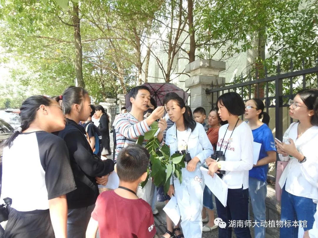 yL23411永利集团官网登录