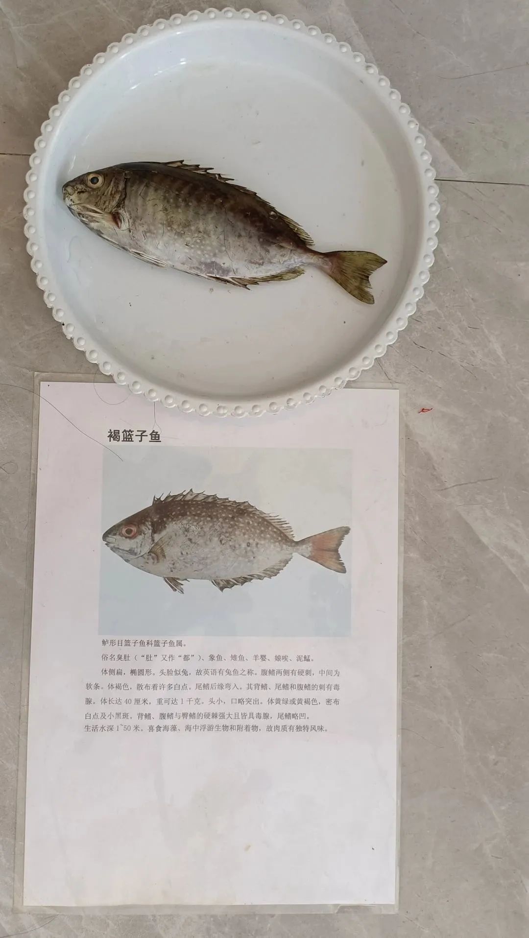 yL23411永利集团官网登录