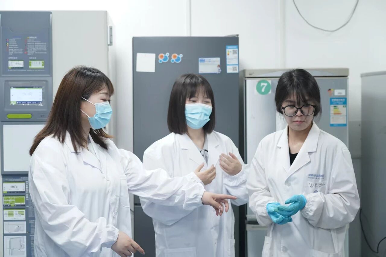 yL23411永利集团官网登录