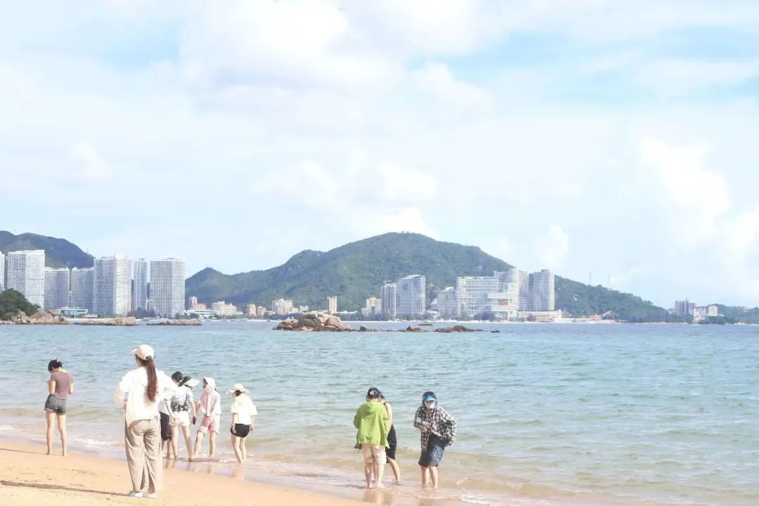 yL23411永利集团官网登录