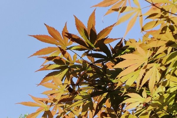 yL23411永利集团官网登录