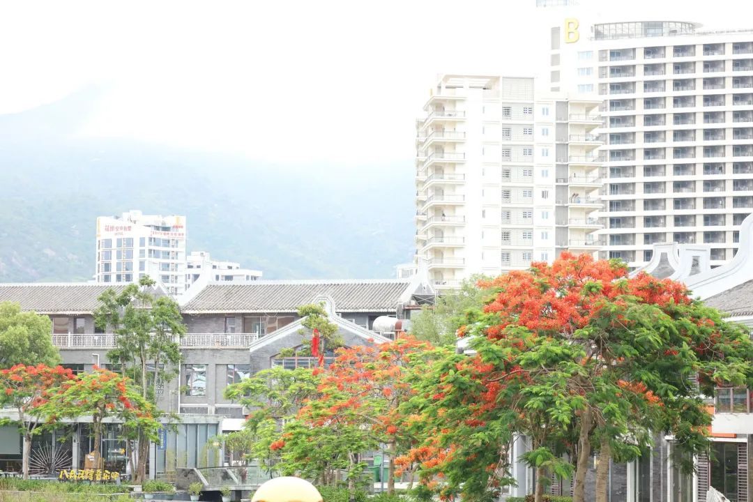 yL23411永利集团官网登录