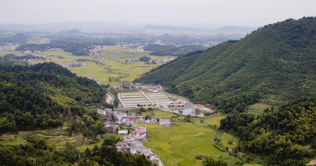 yL23411永利集团官网登录