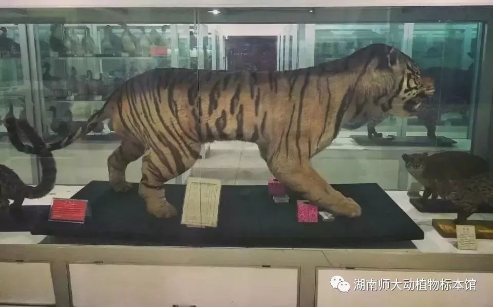 yL23411永利集团官网登录