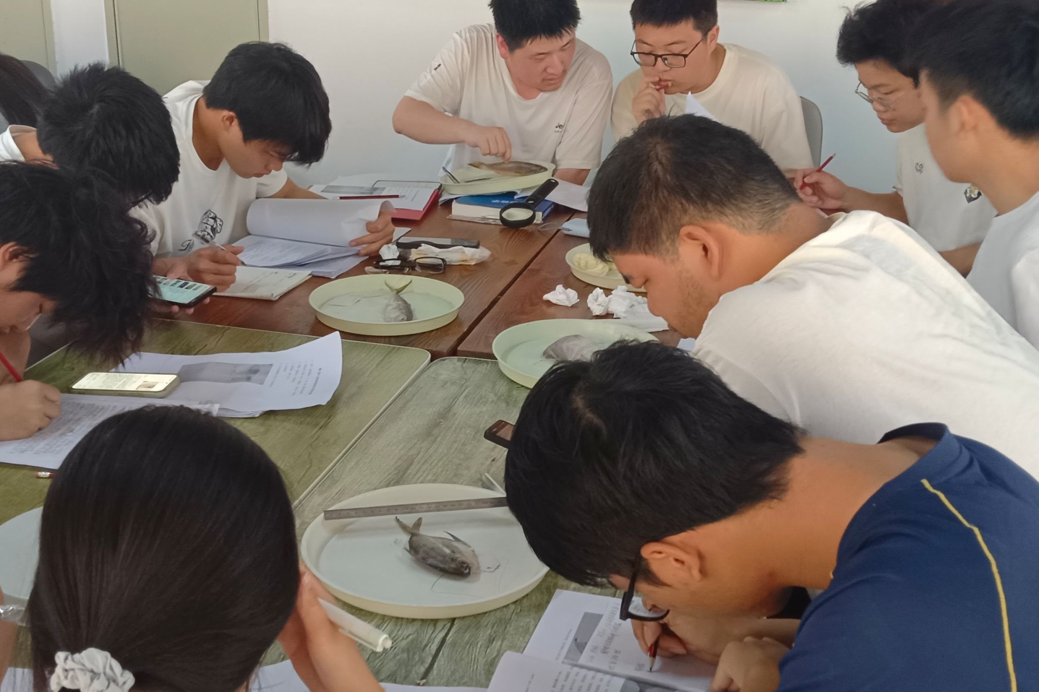 yL23411永利集团官网登录