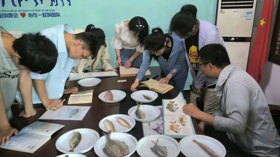 yL23411永利集团官网登录
