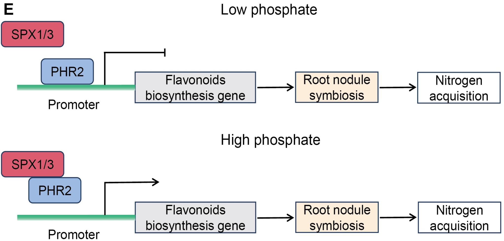 yL23411永利集团官网登录