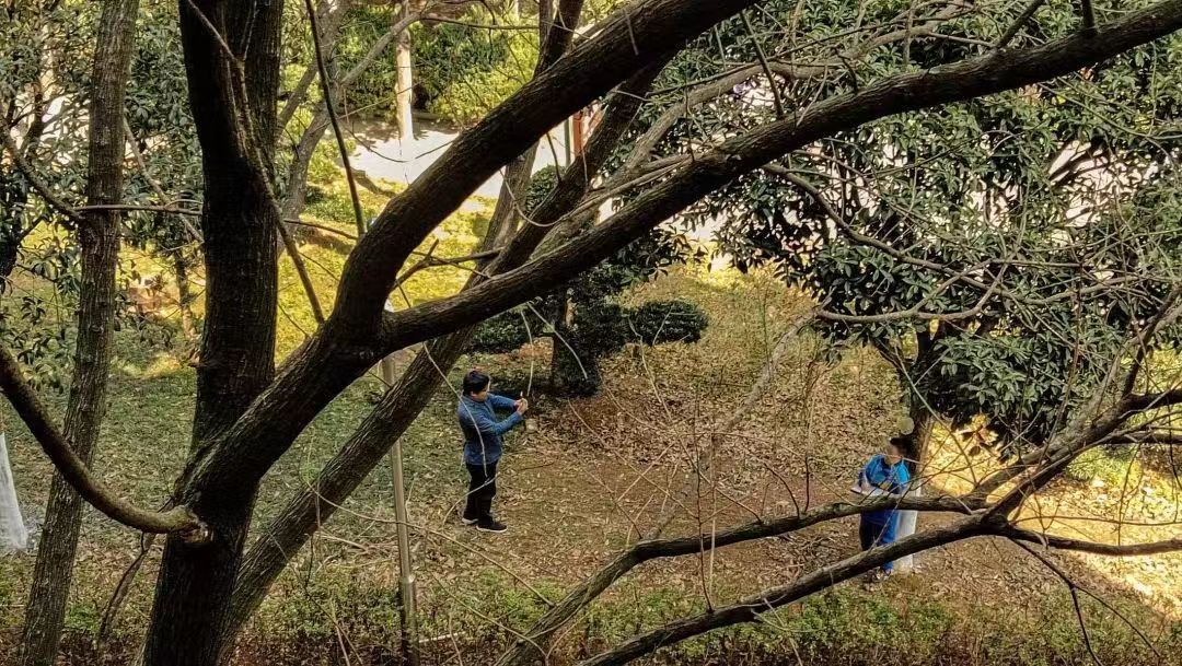 yL23411永利集团官网登录