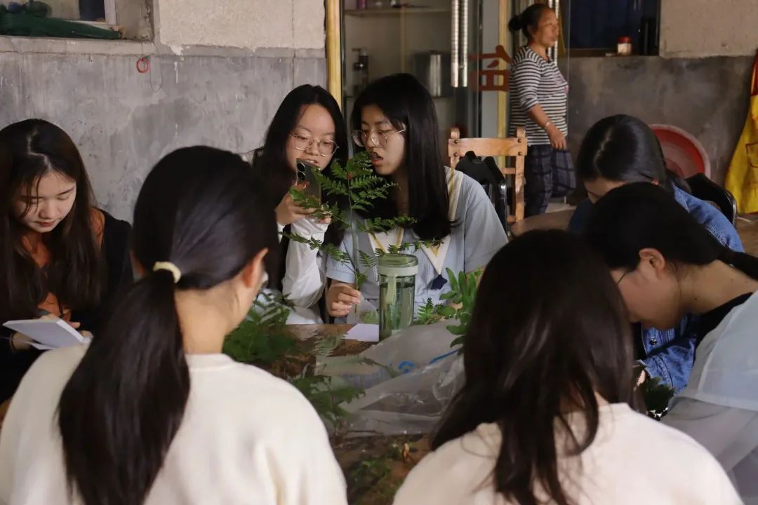 yL23411永利集团官网登录