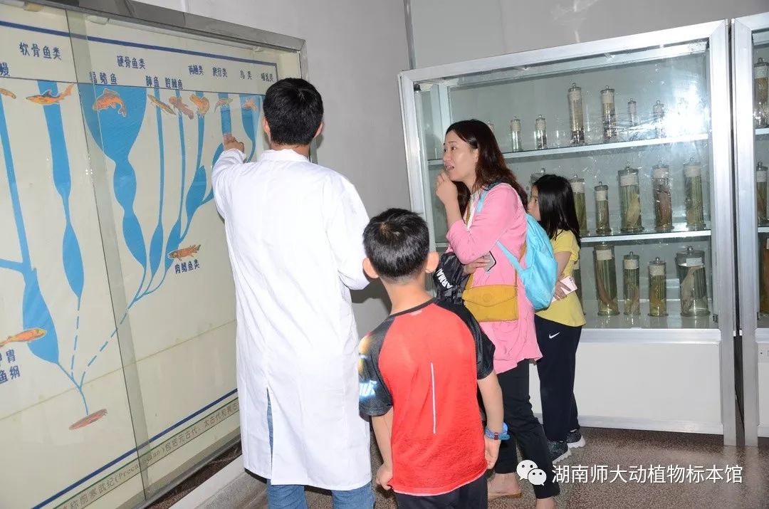 yL23411永利集团官网登录