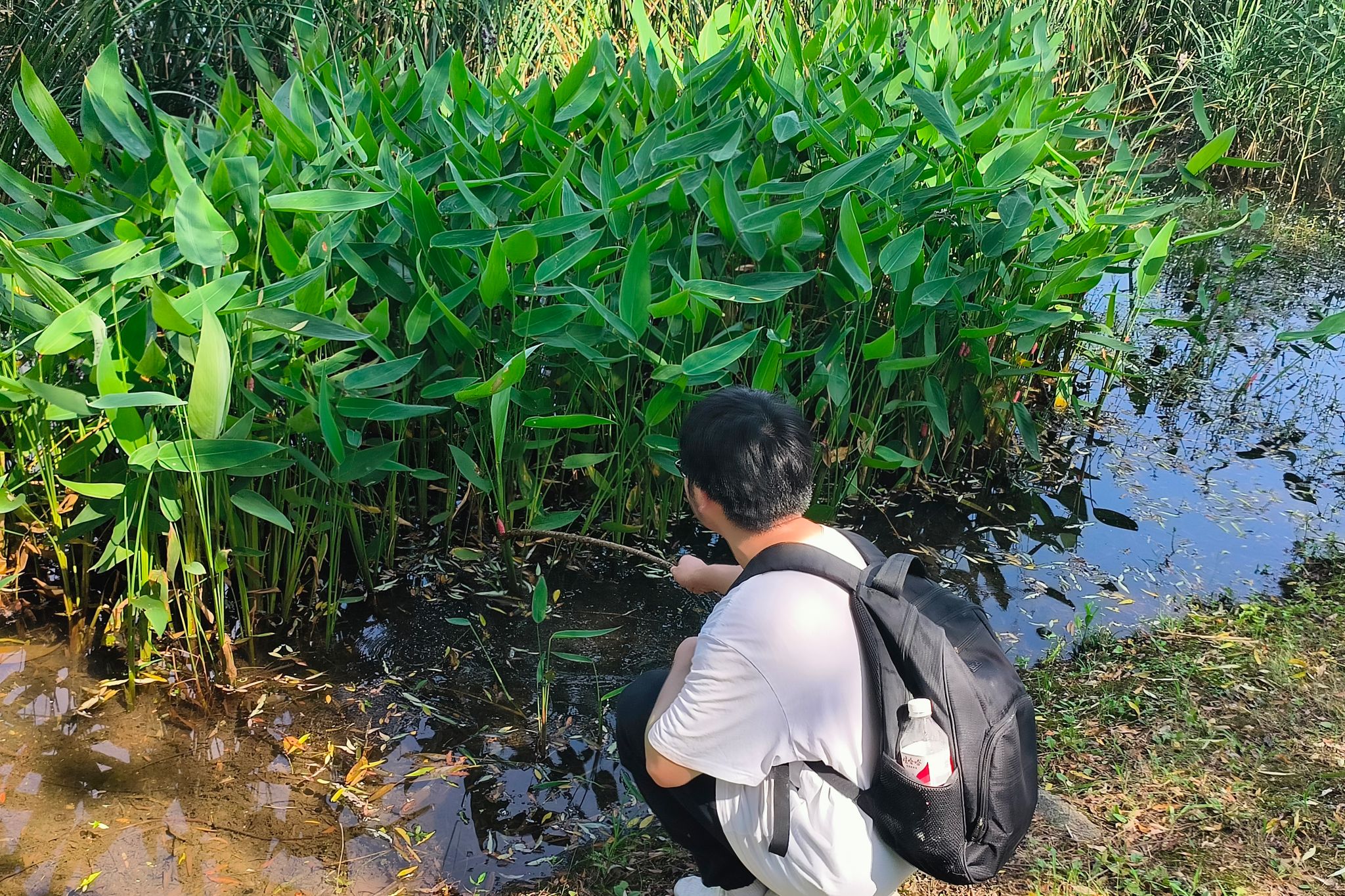 yL23411永利集团官网登录