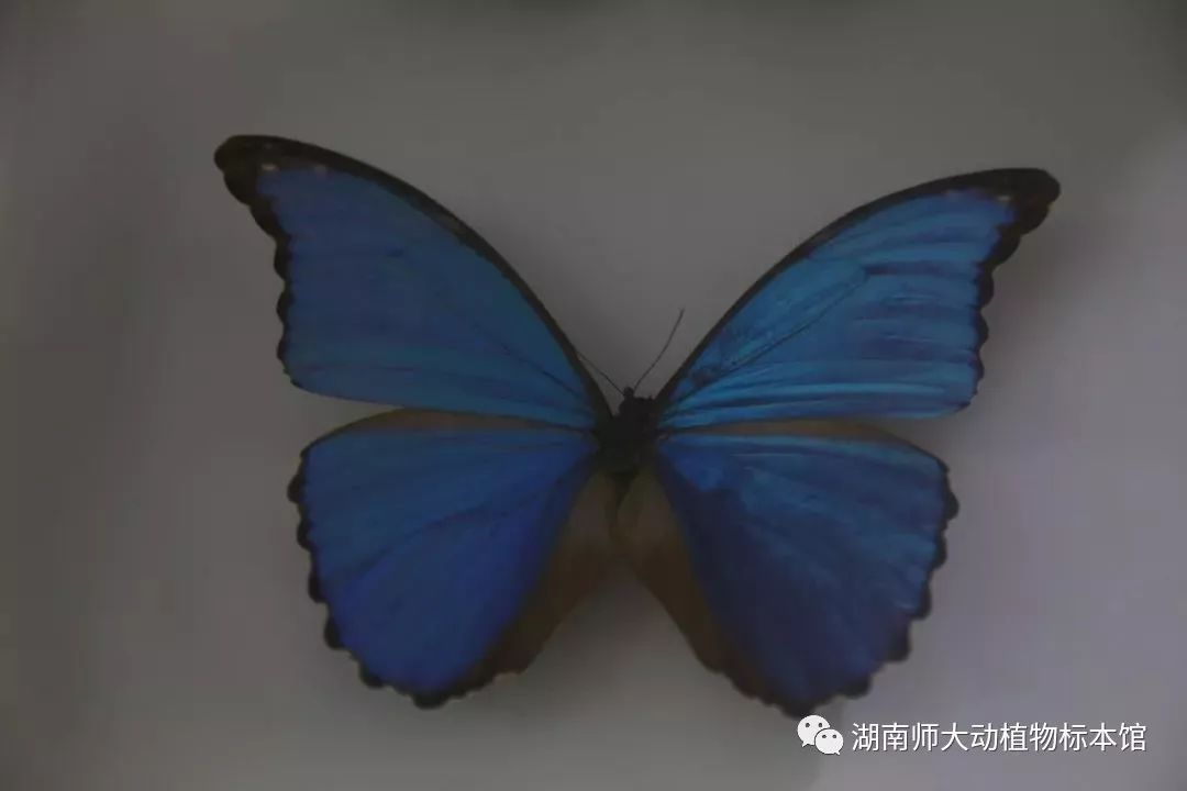 yL23411永利集团官网登录
