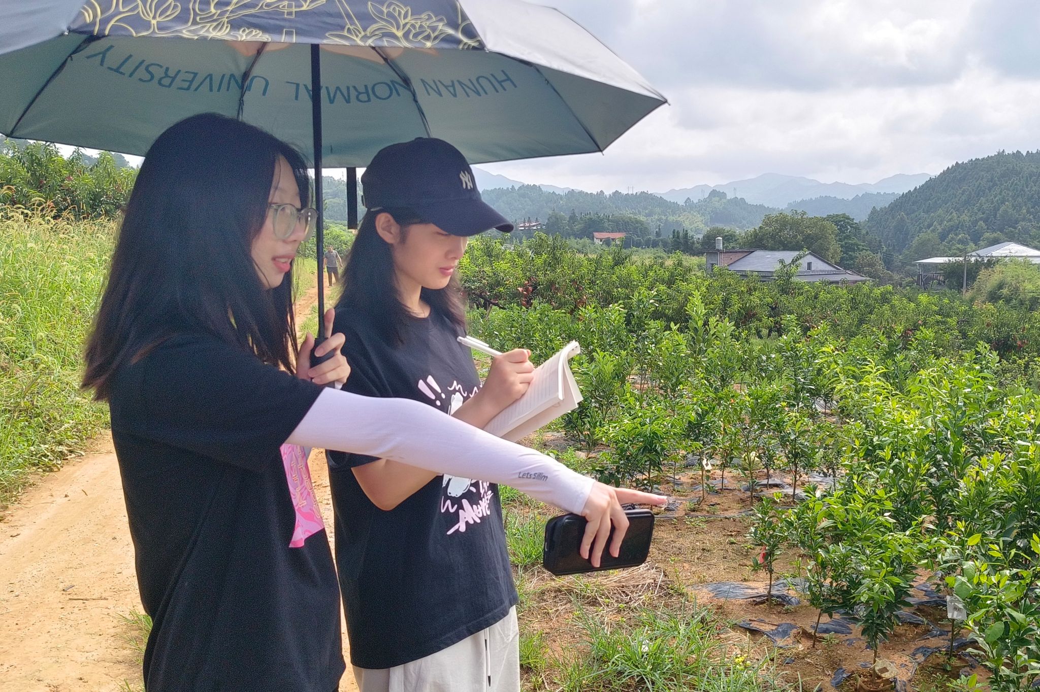 yL23411永利集团官网登录