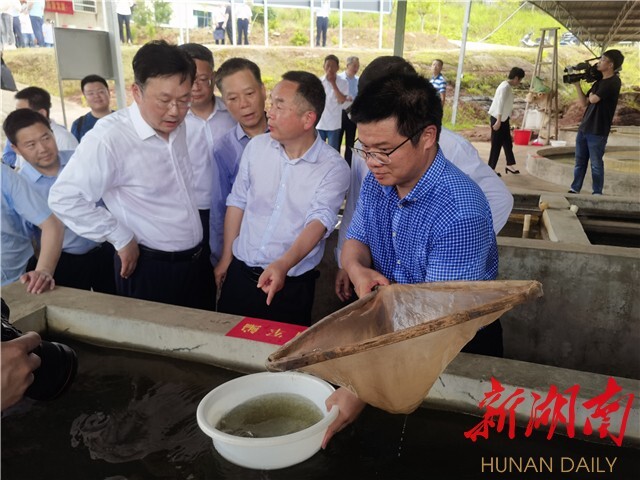 yL23411永利集团官网登录