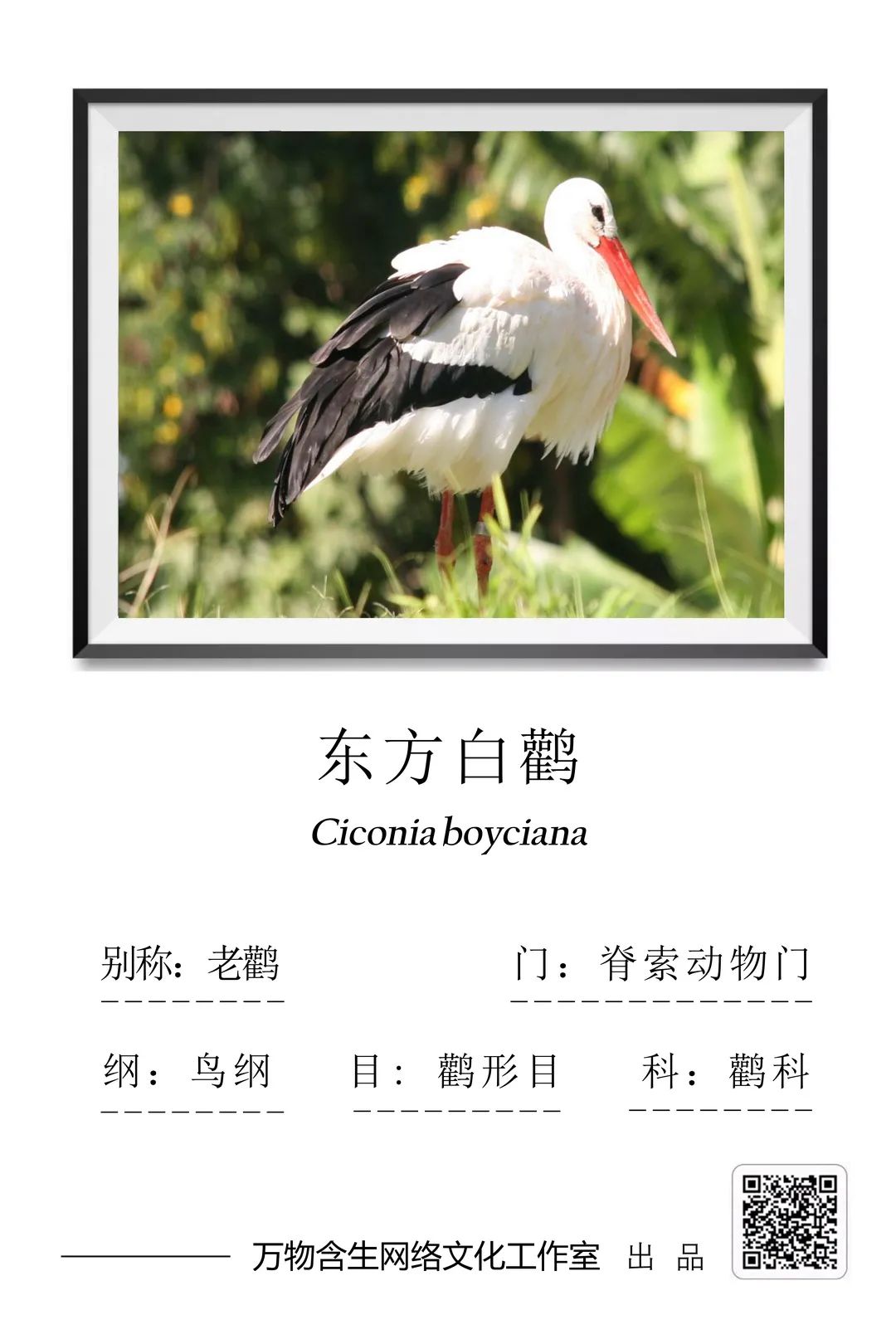 yL23411永利集团官网登录