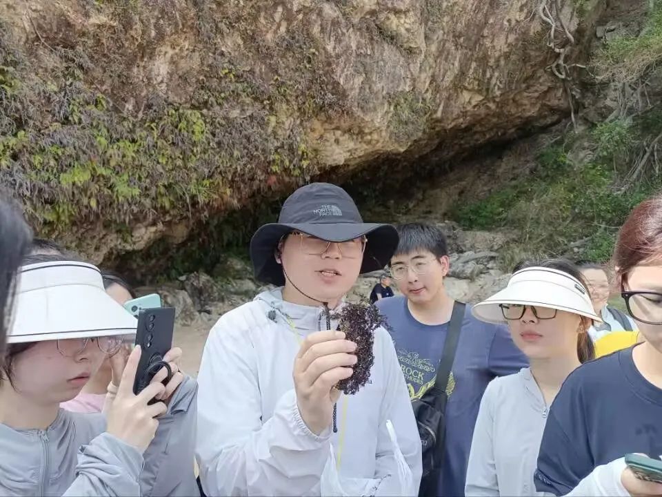 yL23411永利集团官网登录