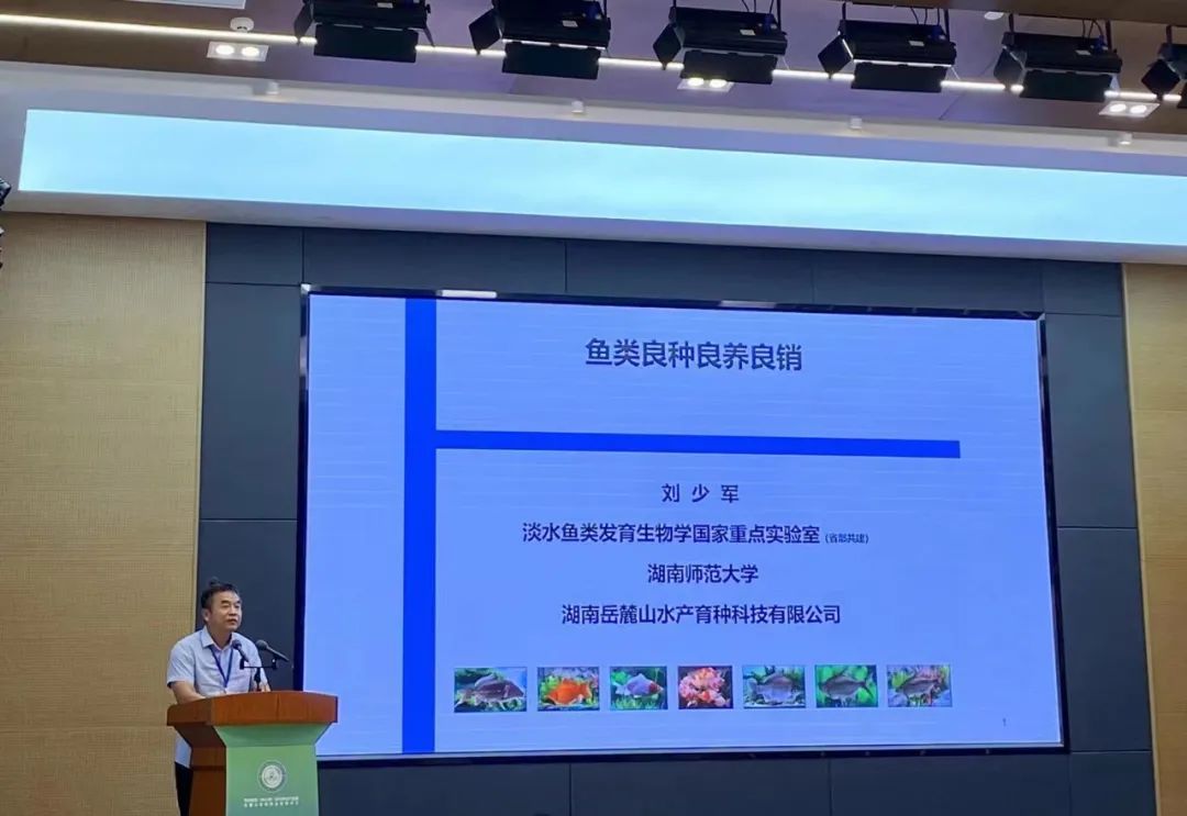 yL23411永利集团官网登录