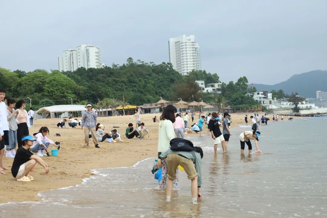 yL23411永利集团官网登录