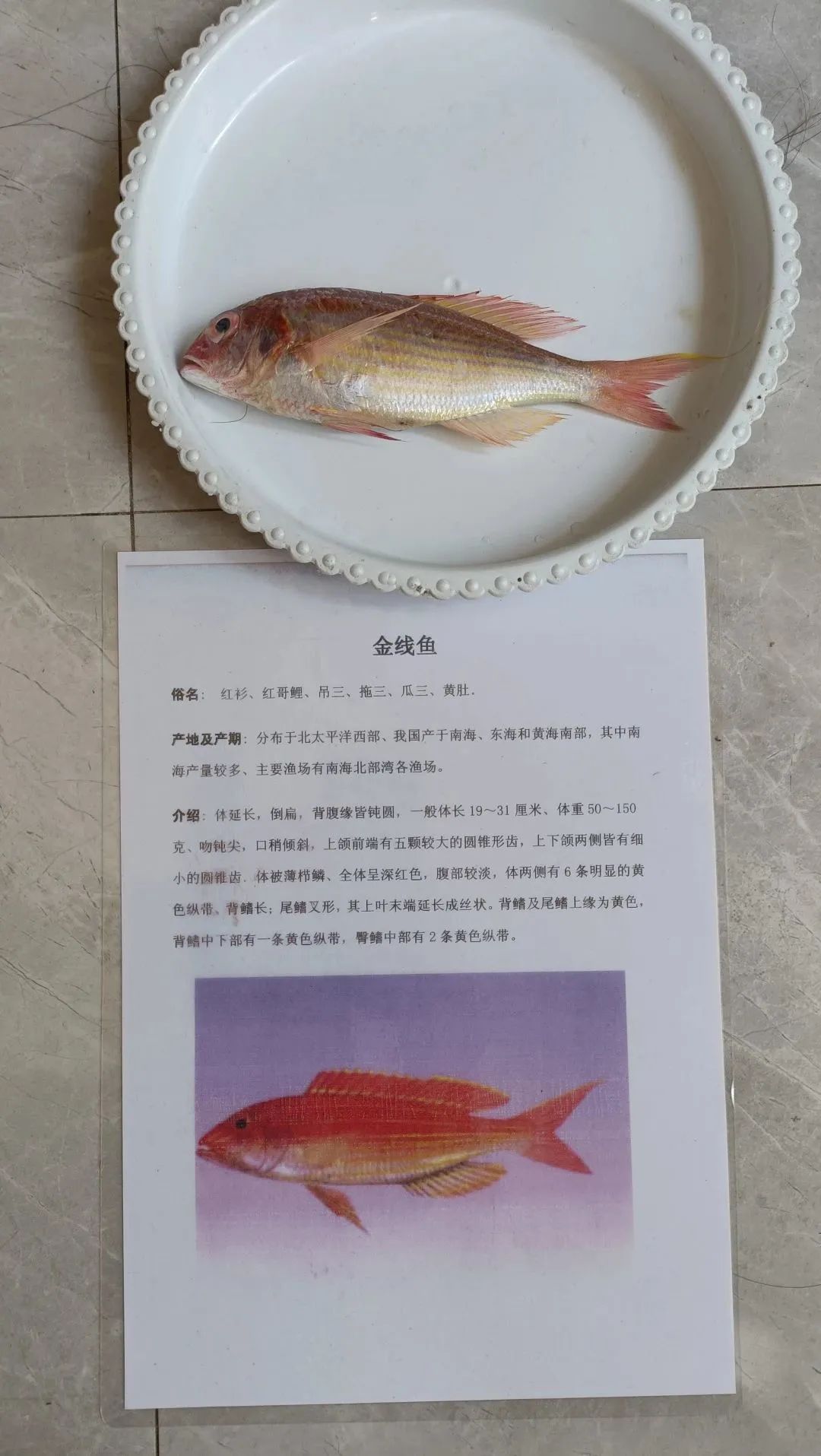 yL23411永利集团官网登录