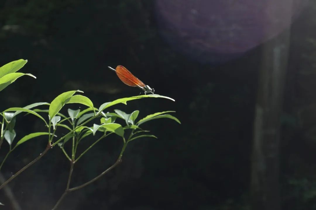 yL23411永利集团官网登录