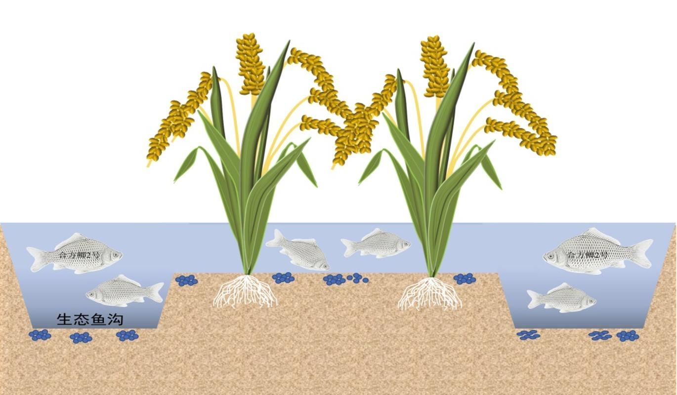 yL23411永利集团官网登录
