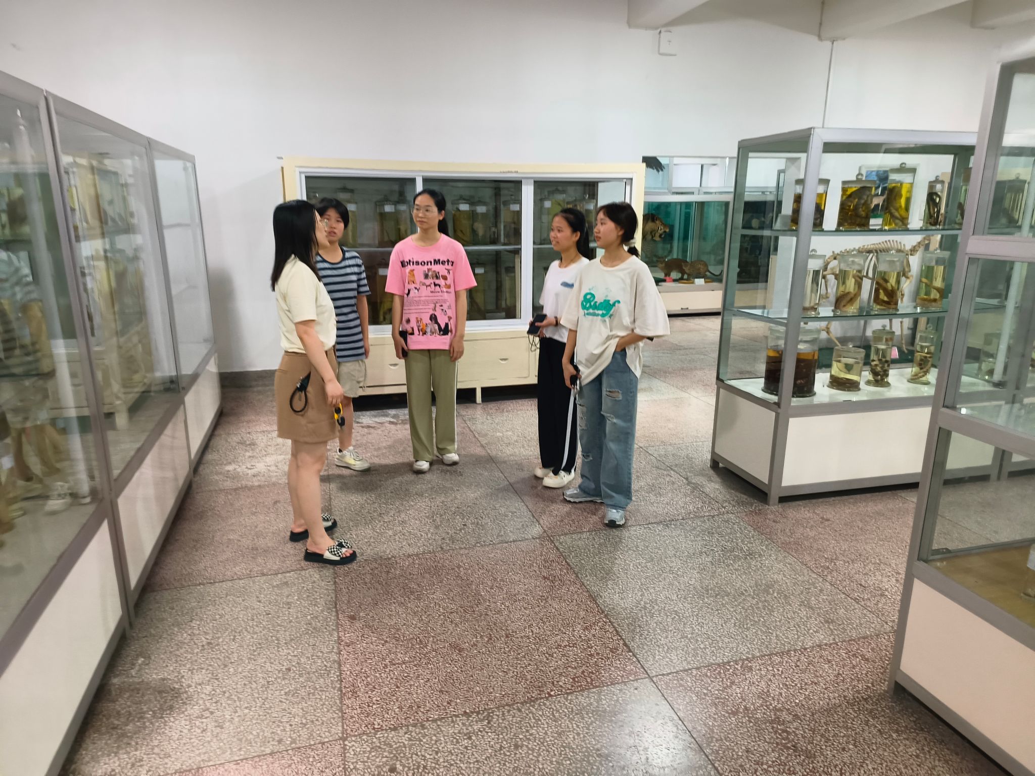 yL23411永利集团官网登录