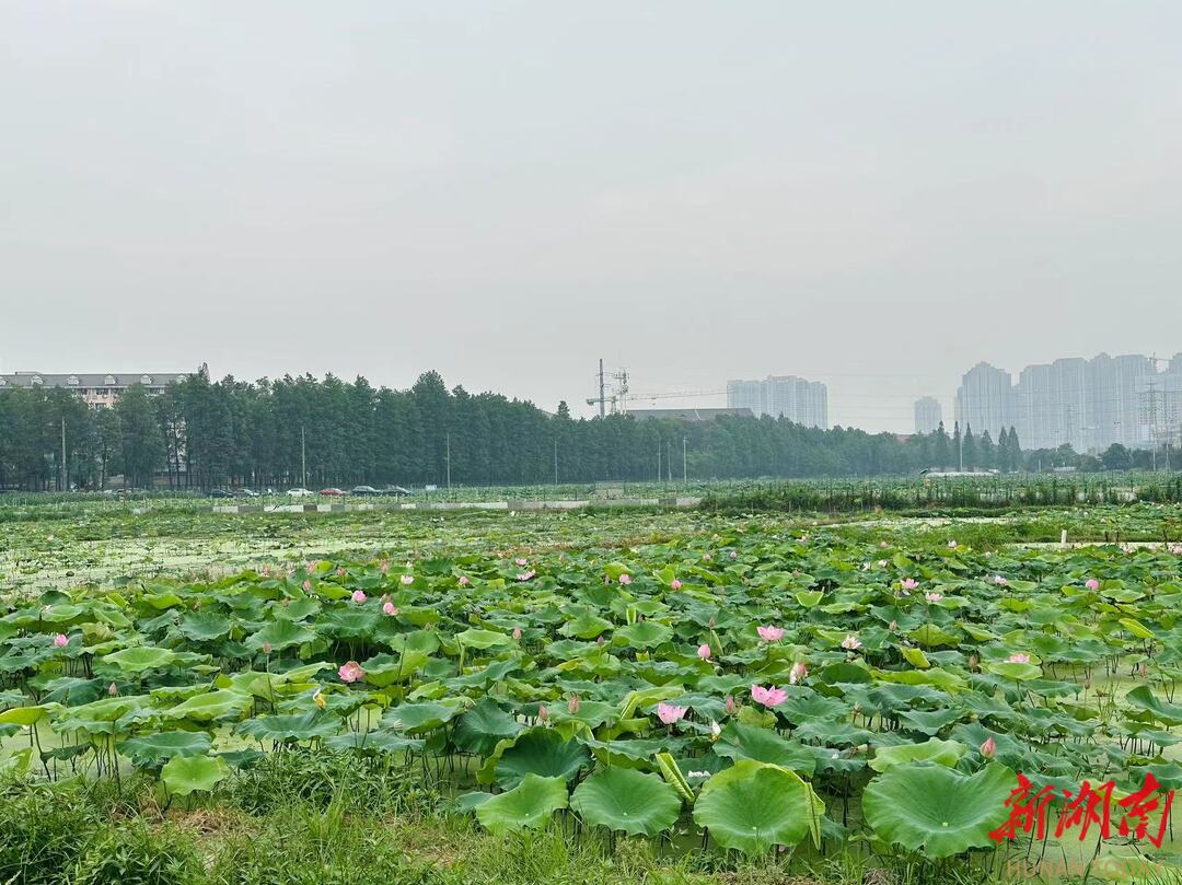yL23411永利集团官网登录