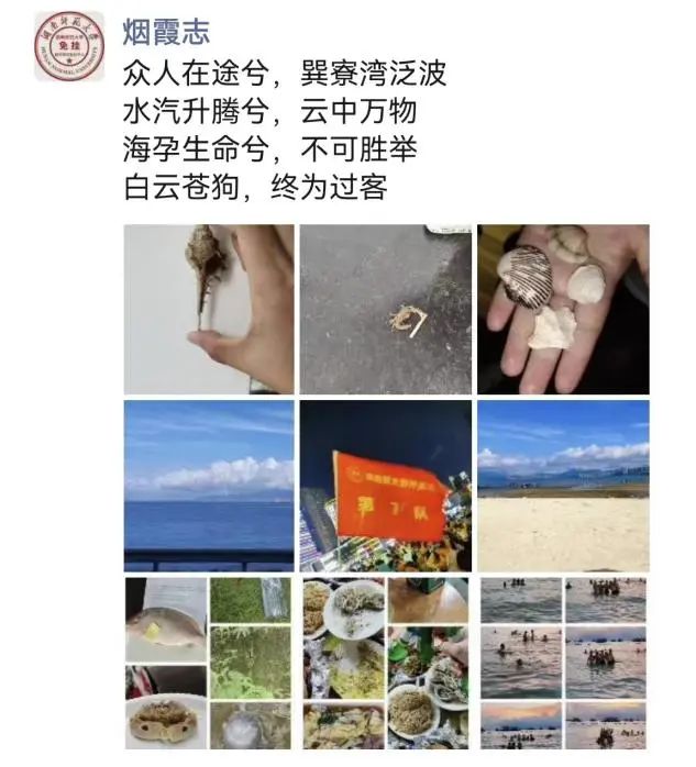 yL23411永利集团官网登录