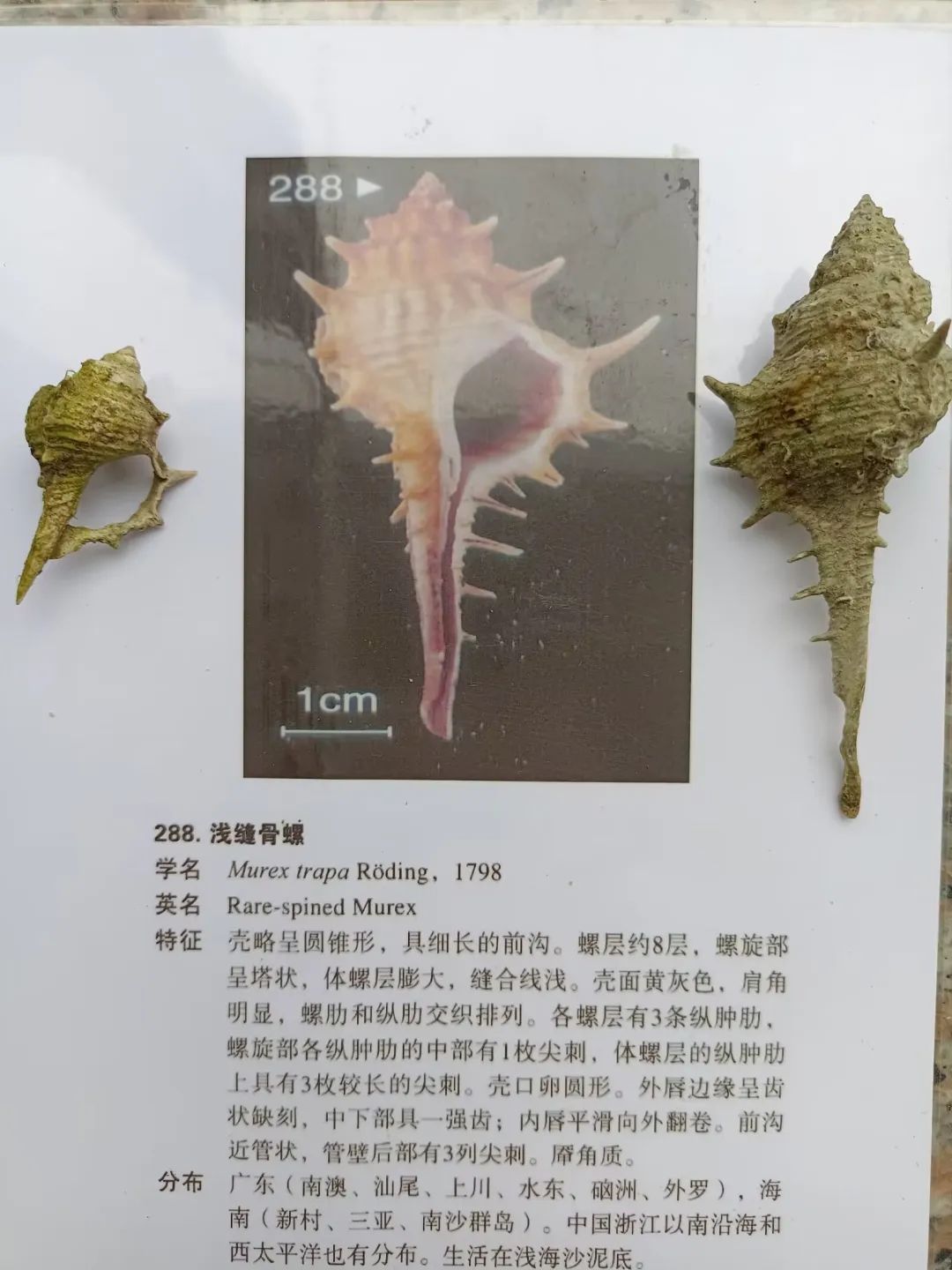 yL23411永利集团官网登录