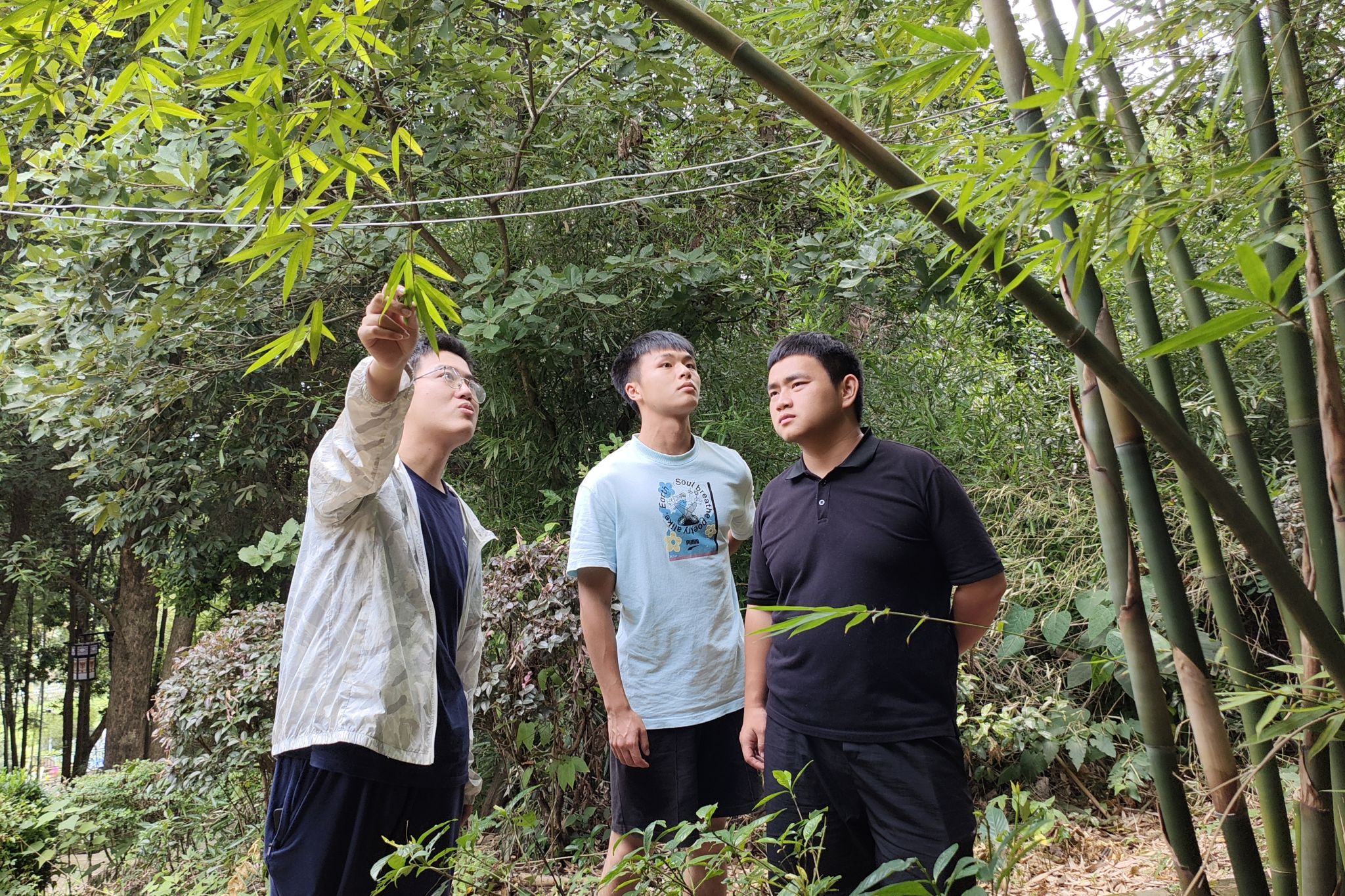 yL23411永利集团官网登录