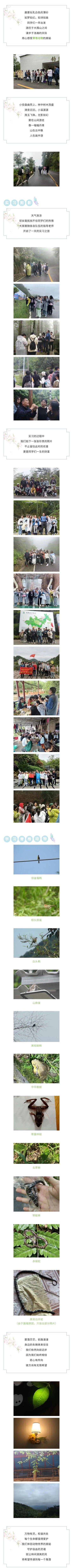 yL23411永利集团官网登录