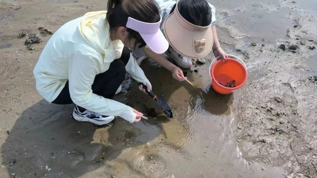yL23411永利集团官网登录