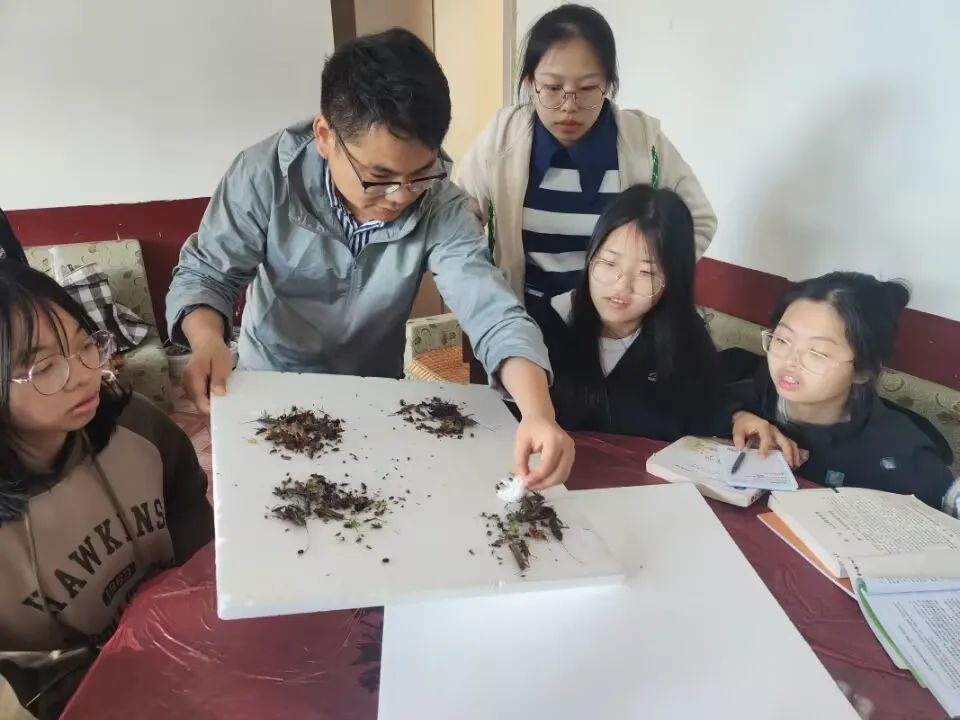 yL23411永利集团官网登录