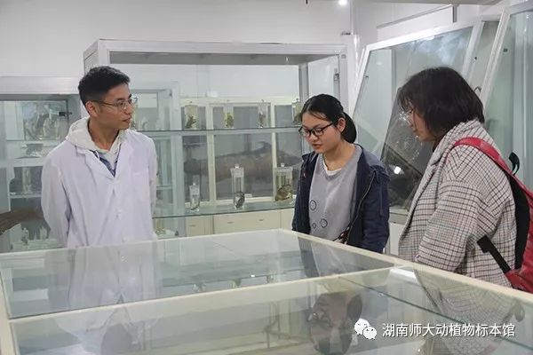 yL23411永利集团官网登录