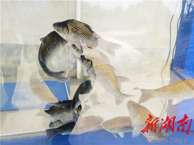 yL23411永利集团官网登录