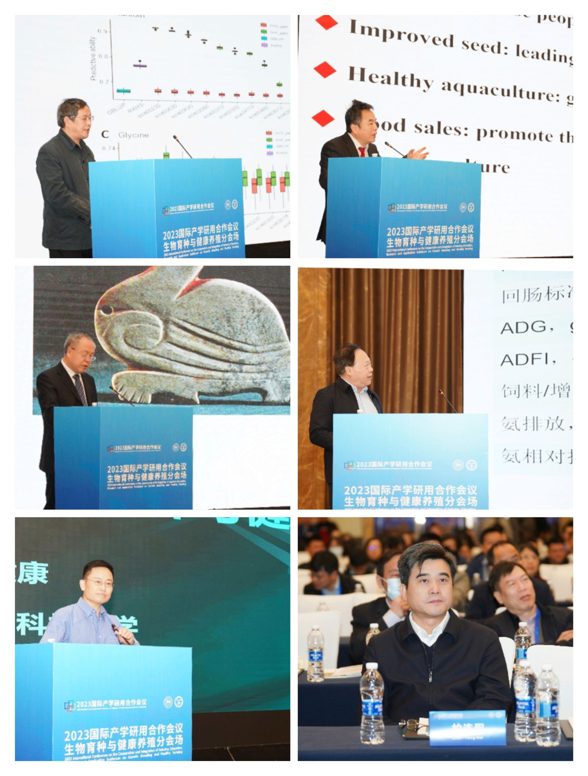 yL23411永利集团官网登录