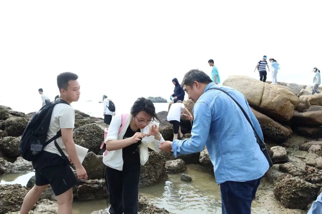 yL23411永利集团官网登录
