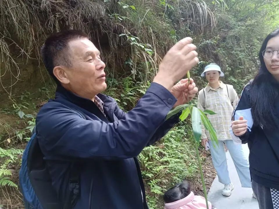 yL23411永利集团官网登录