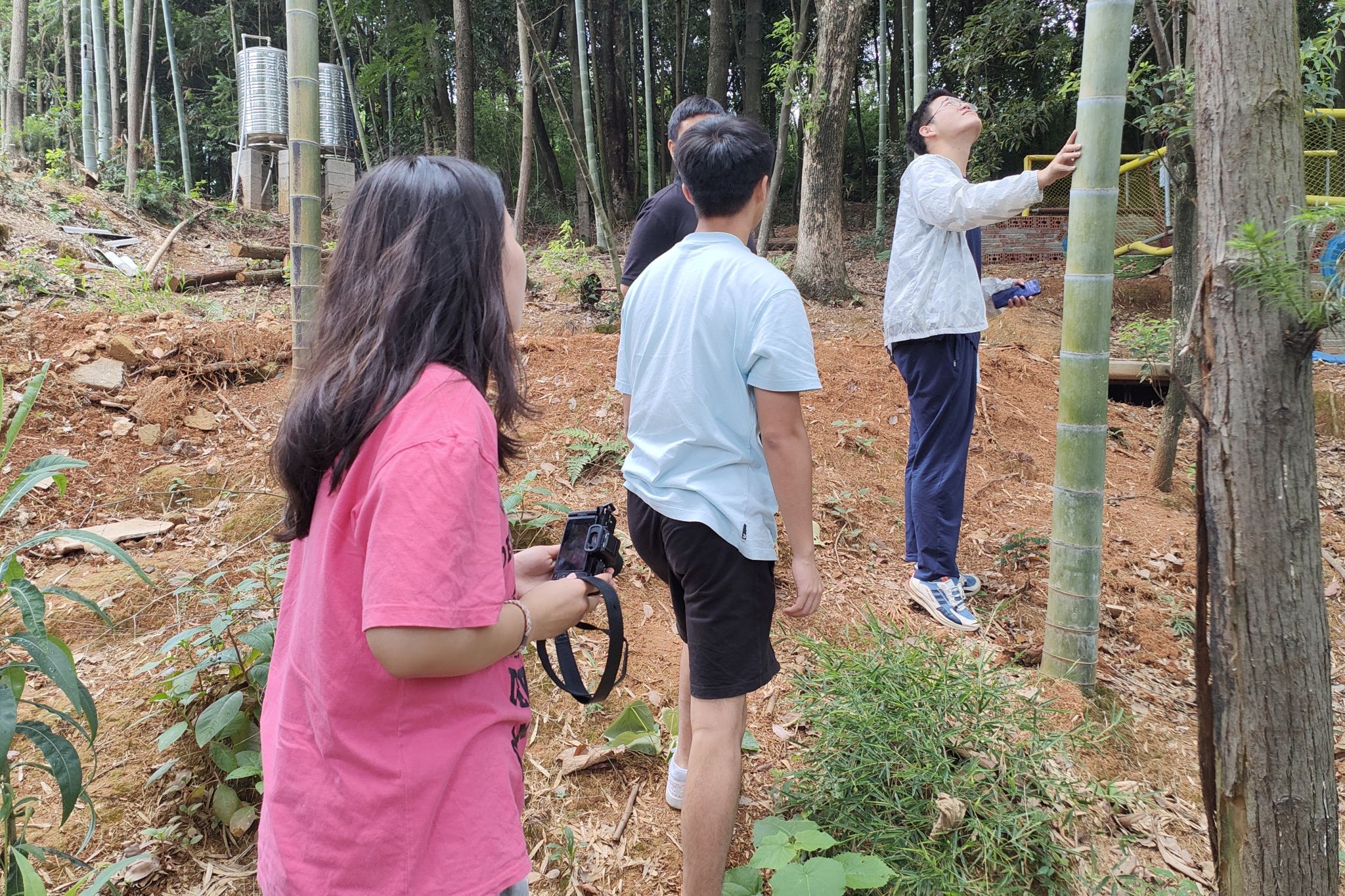 yL23411永利集团官网登录