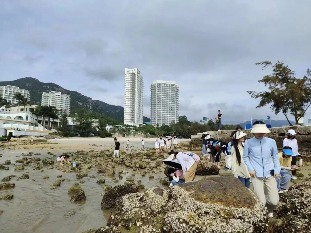 yL23411永利集团官网登录