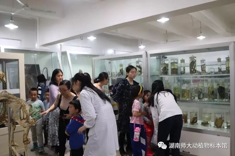 yL23411永利集团官网登录