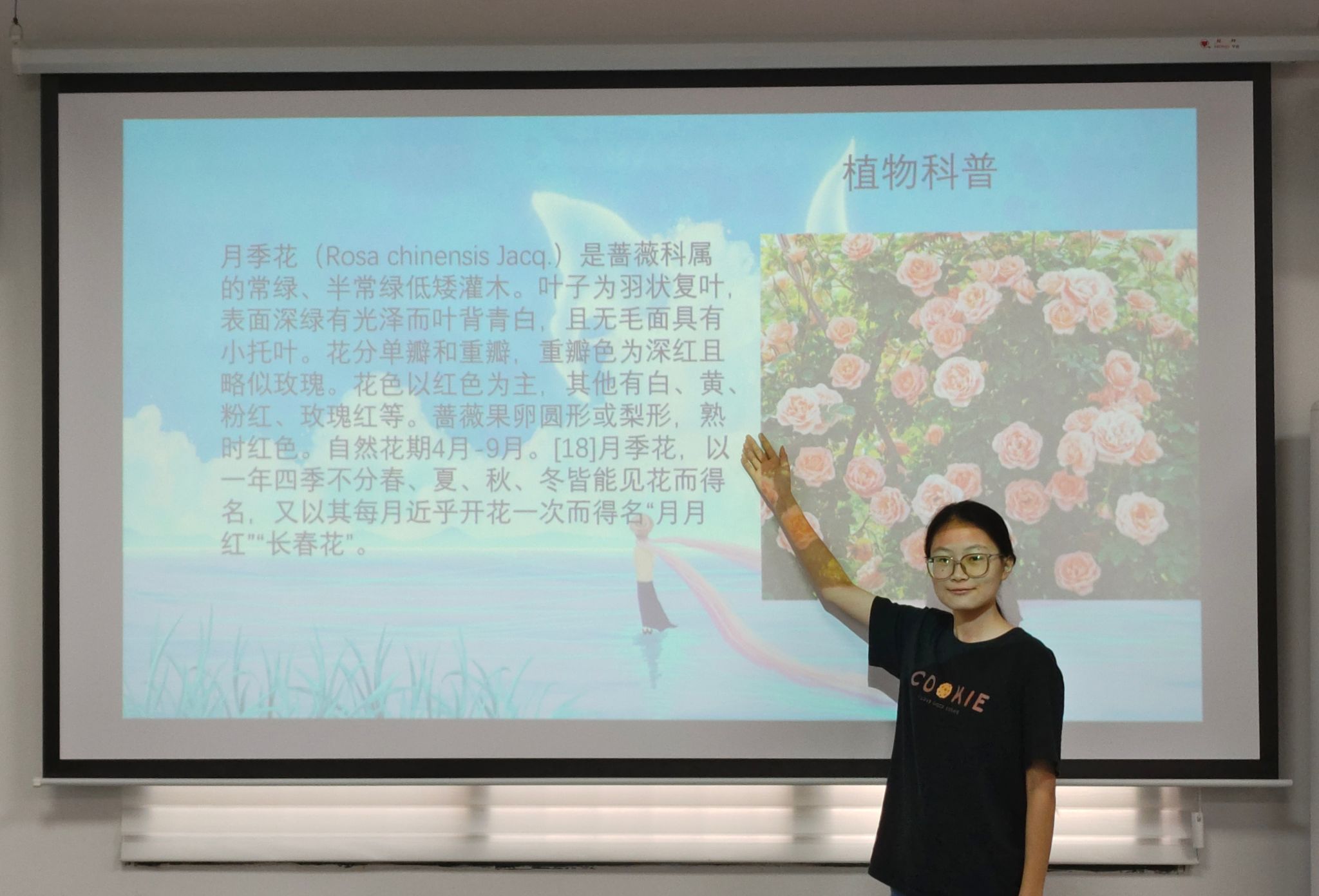 yL23411永利集团官网登录
