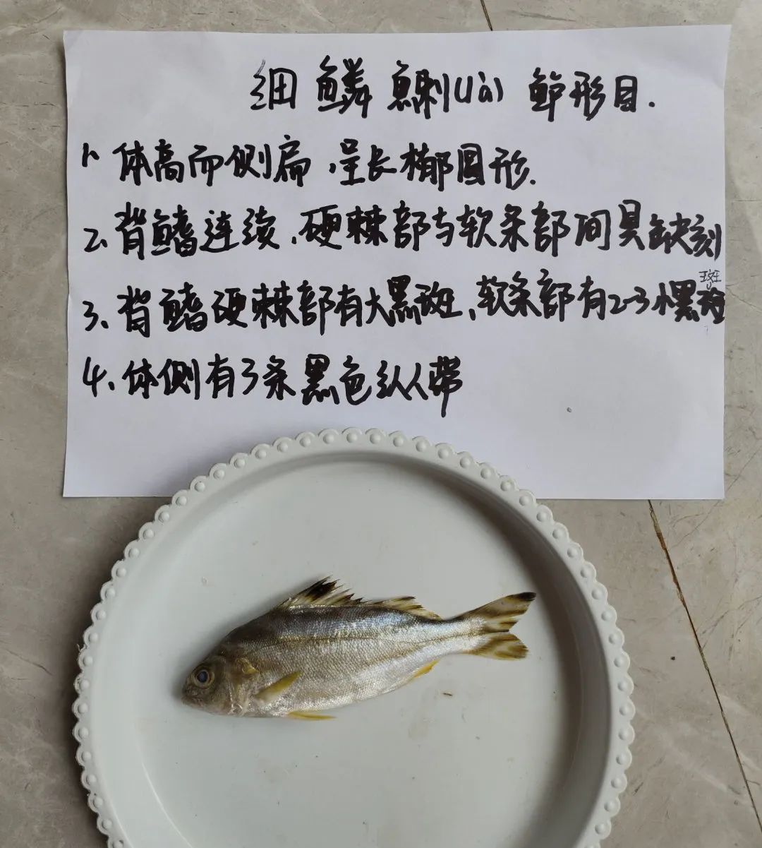 yL23411永利集团官网登录