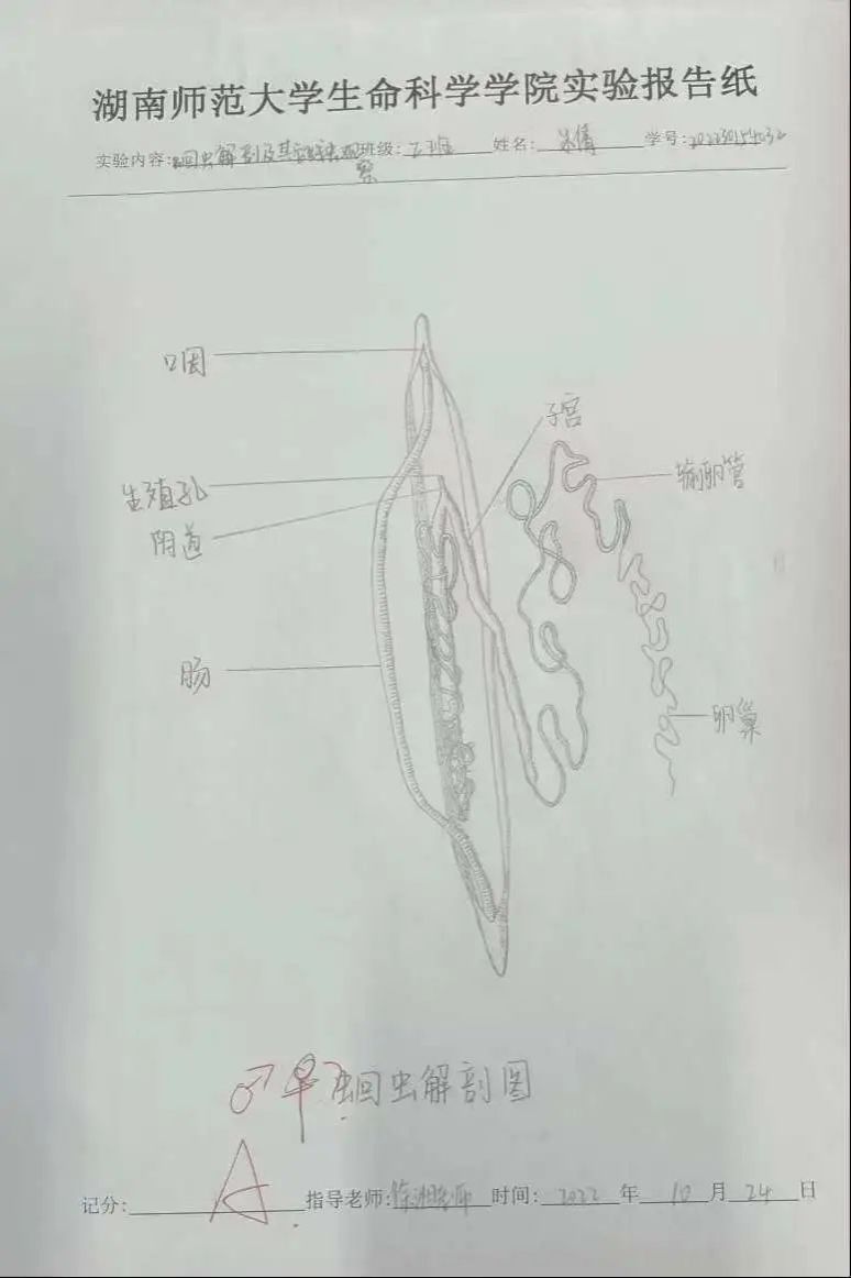 yL23411永利集团官网登录